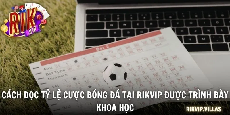 Cách đọc tỷ lệ cược bóng đá tại RIKVIP được trình bày khoa học