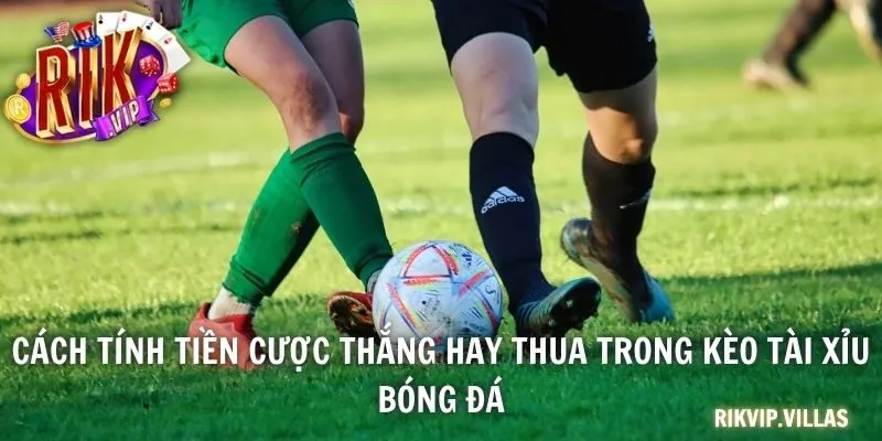 Cách tính tiền cược thắng hay thua trong kèo tài xỉu bóng đá