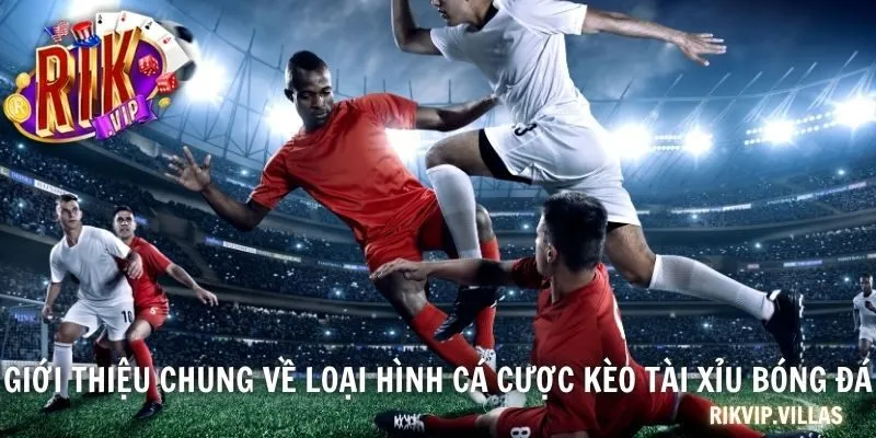 Giới thiệu chung về loại hình cá cược kèo tài xỉu bóng đá