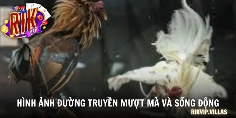 Hình ảnh đường truyền mượt mà và sống động